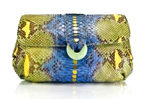purse snake color.jpg